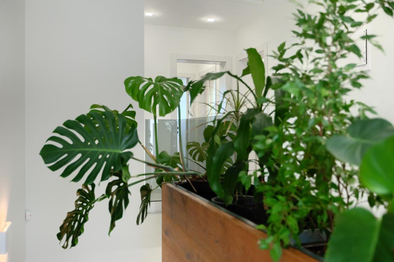 Villa Cascada Muntic ภายนอก รูปภาพ